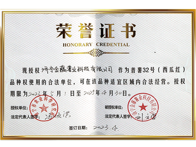 榮譽(yù)證書